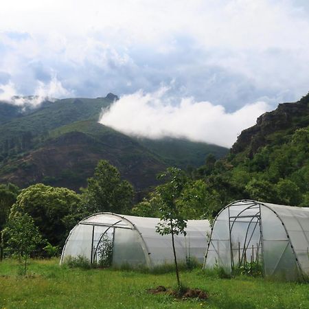 Casa Rural Chao De Castro Riodeporcos Dış mekan fotoğraf