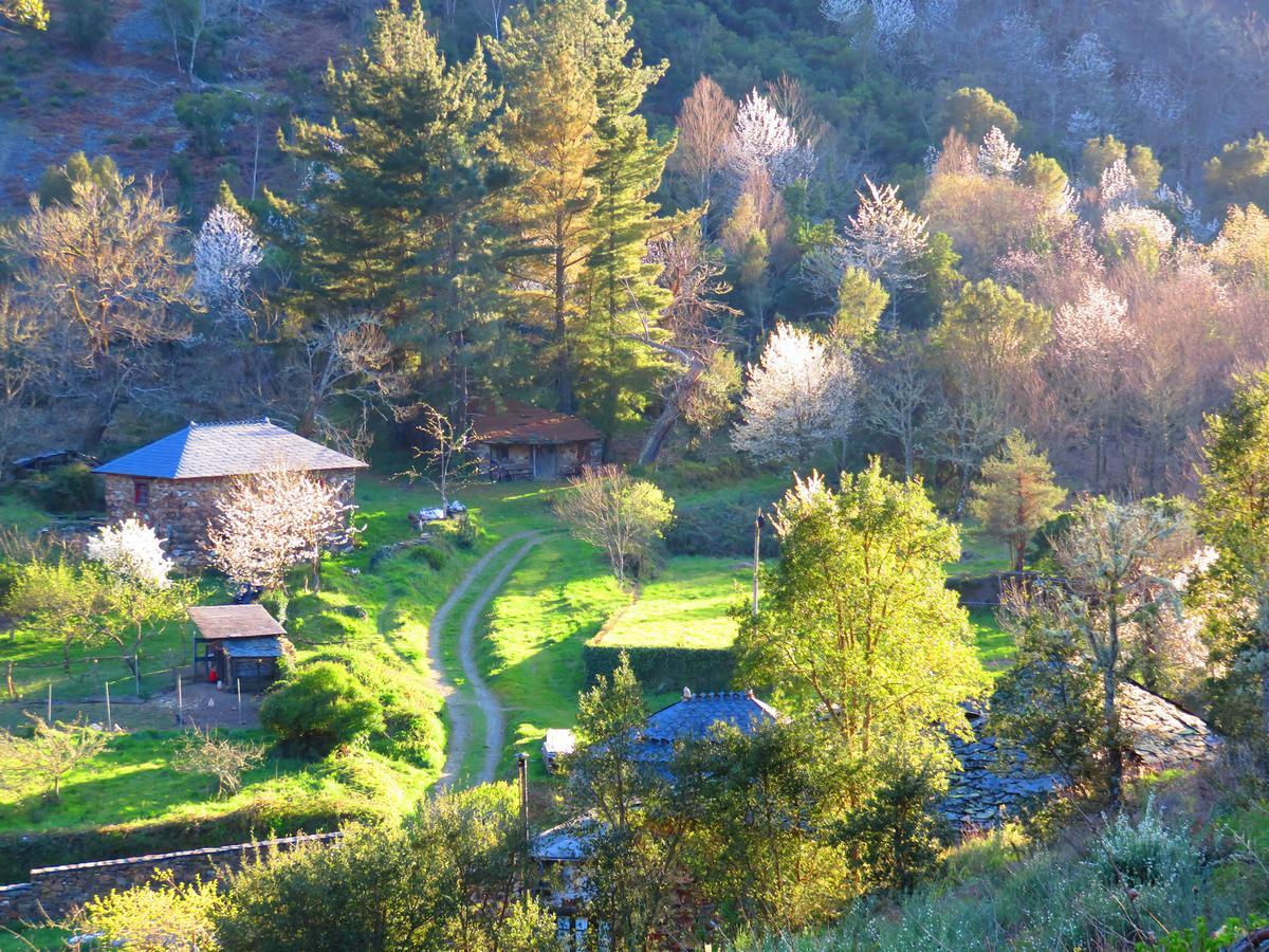 Casa Rural Chao De Castro Riodeporcos Dış mekan fotoğraf